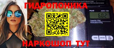 шишки Ангарск