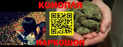 амф Анапа